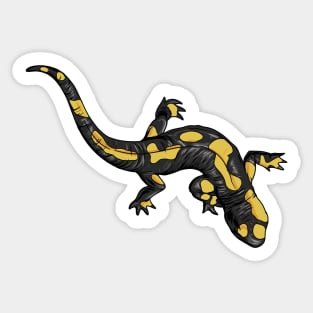 Drawing of fire salamander Sticker